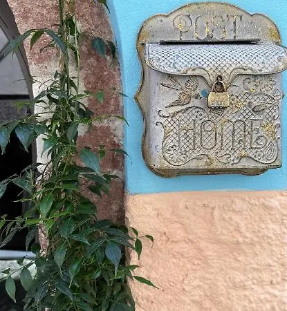 Dommo Asuletta بوسا