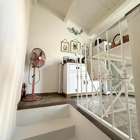 Dommo Asuletta بوسا