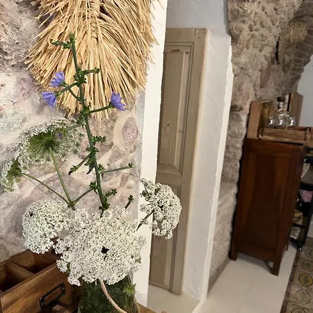 Dommo Asuletta