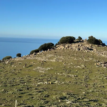 Dommo Asuletta Feriehus Bosa